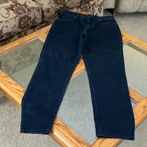 American Eagle Outfitters Deep Indigo Jeans